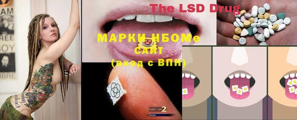 прущий лед Новозыбков