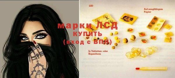 прущий лед Новозыбков