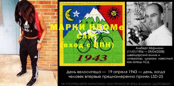 прущий лед Новозыбков