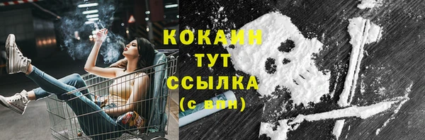 трава Няндома
