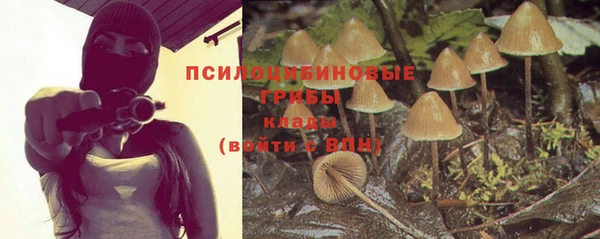 трава Няндома