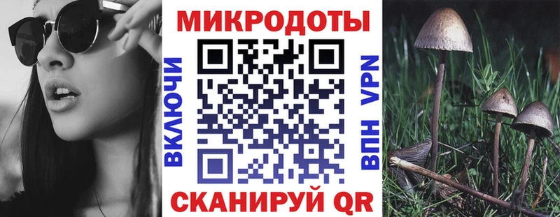 Псилоцибиновые грибы прущие грибы KRAKEN ТОР Правдинск